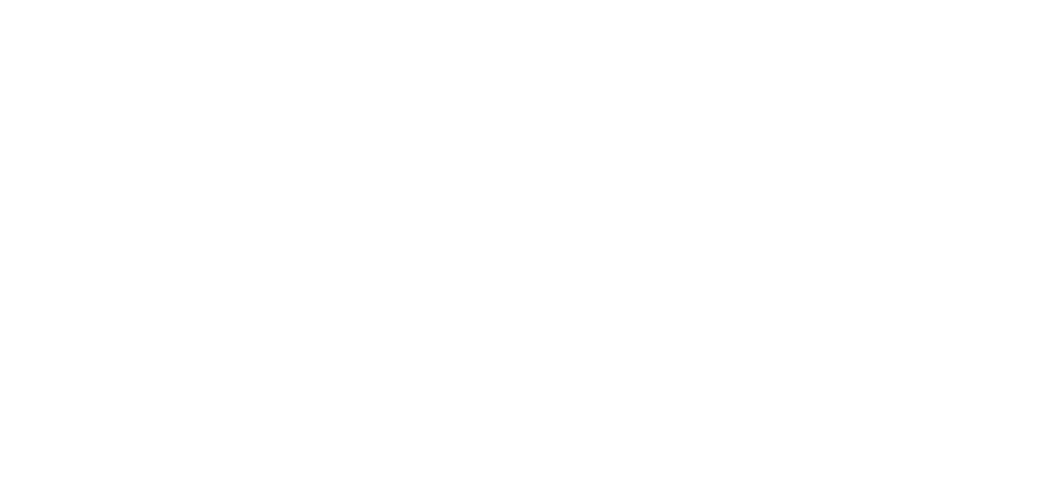 RSM100_RGB_white.png